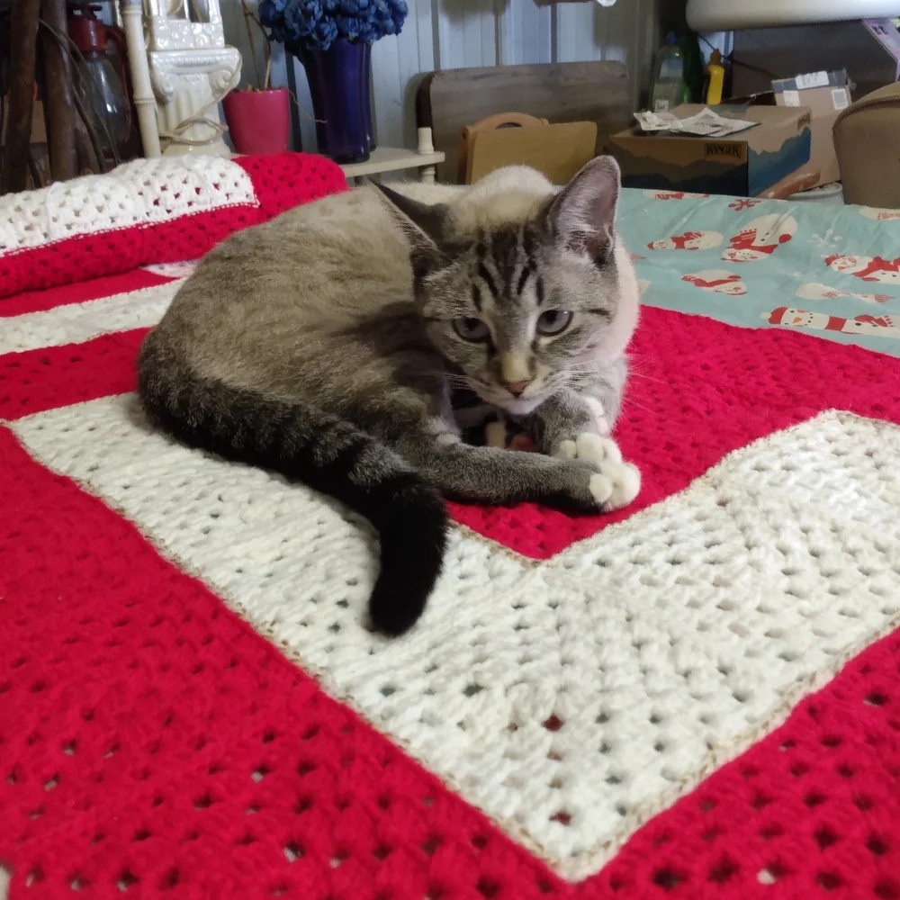 Personalized Blankets